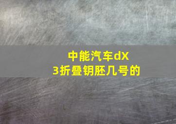 中能汽车dX 3折叠钥胚几号的